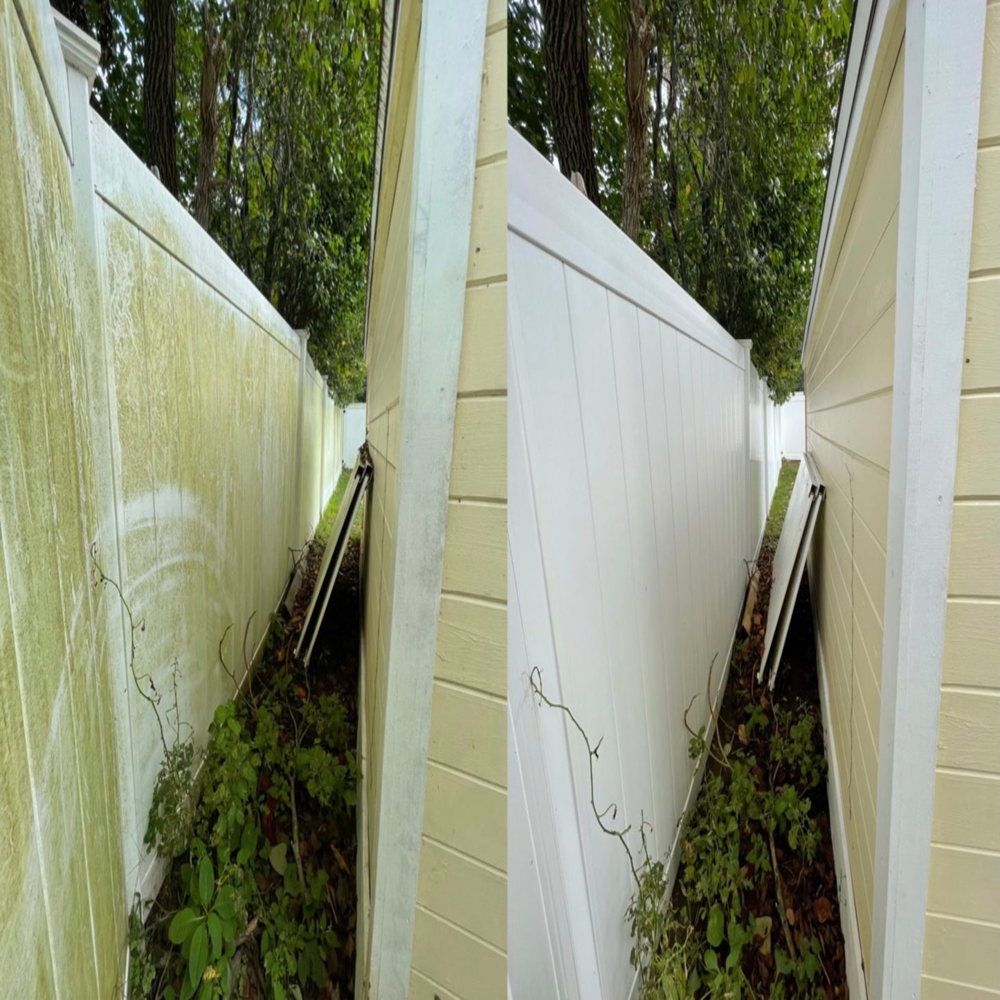 Exterior Cleaning