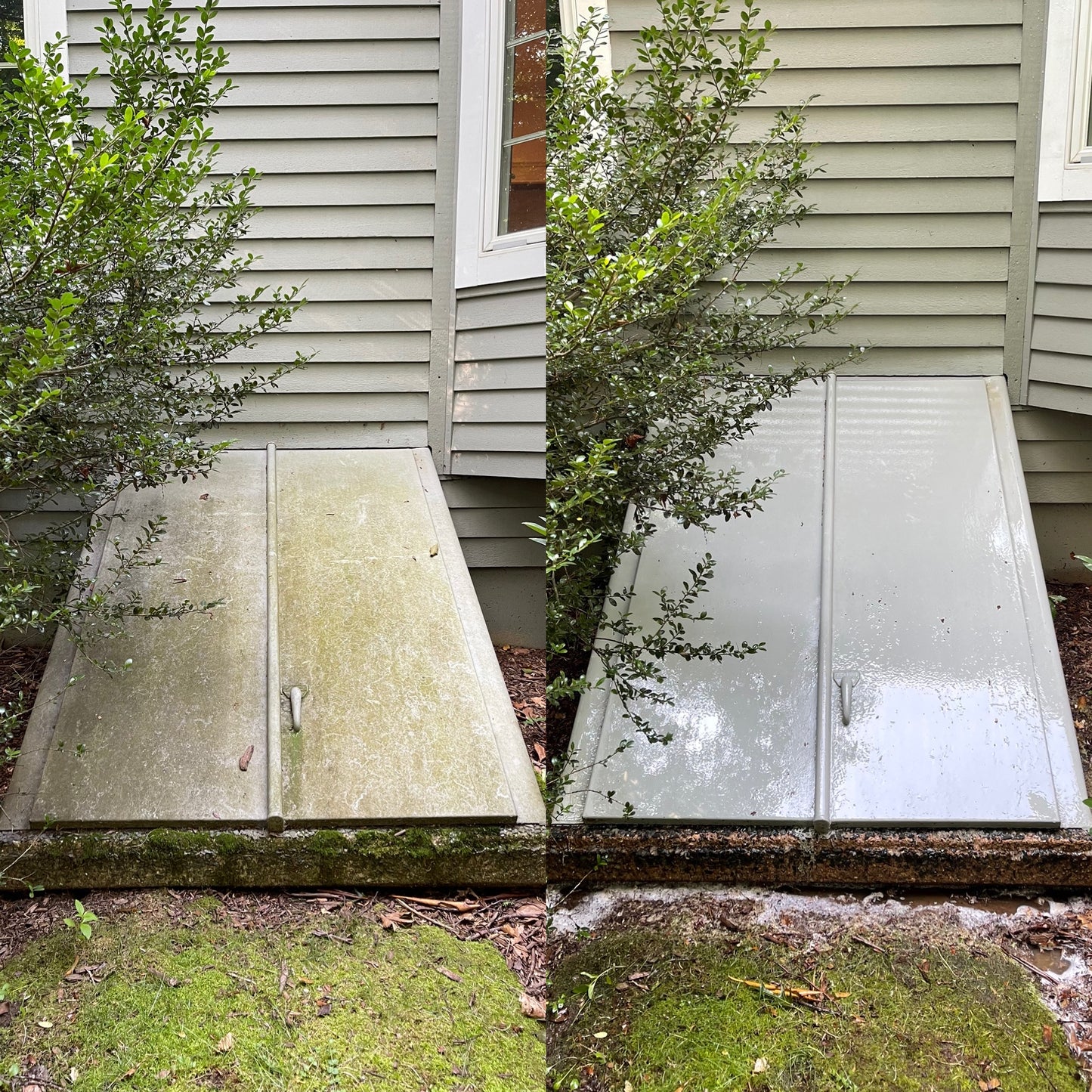 Exterior Cleaning