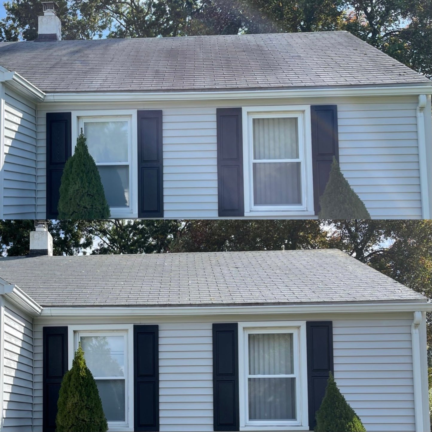 Roof Cleaning